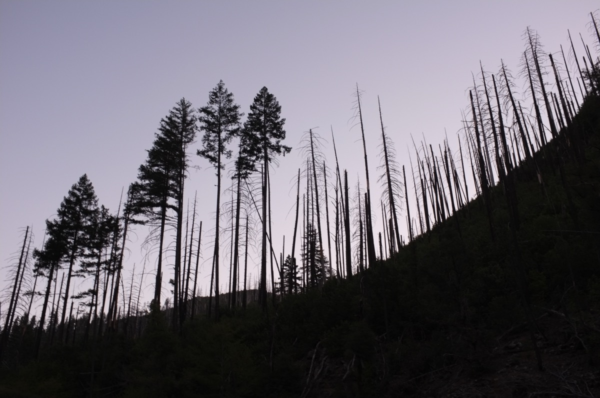 Kalmiopsis Wilderness, Oregon