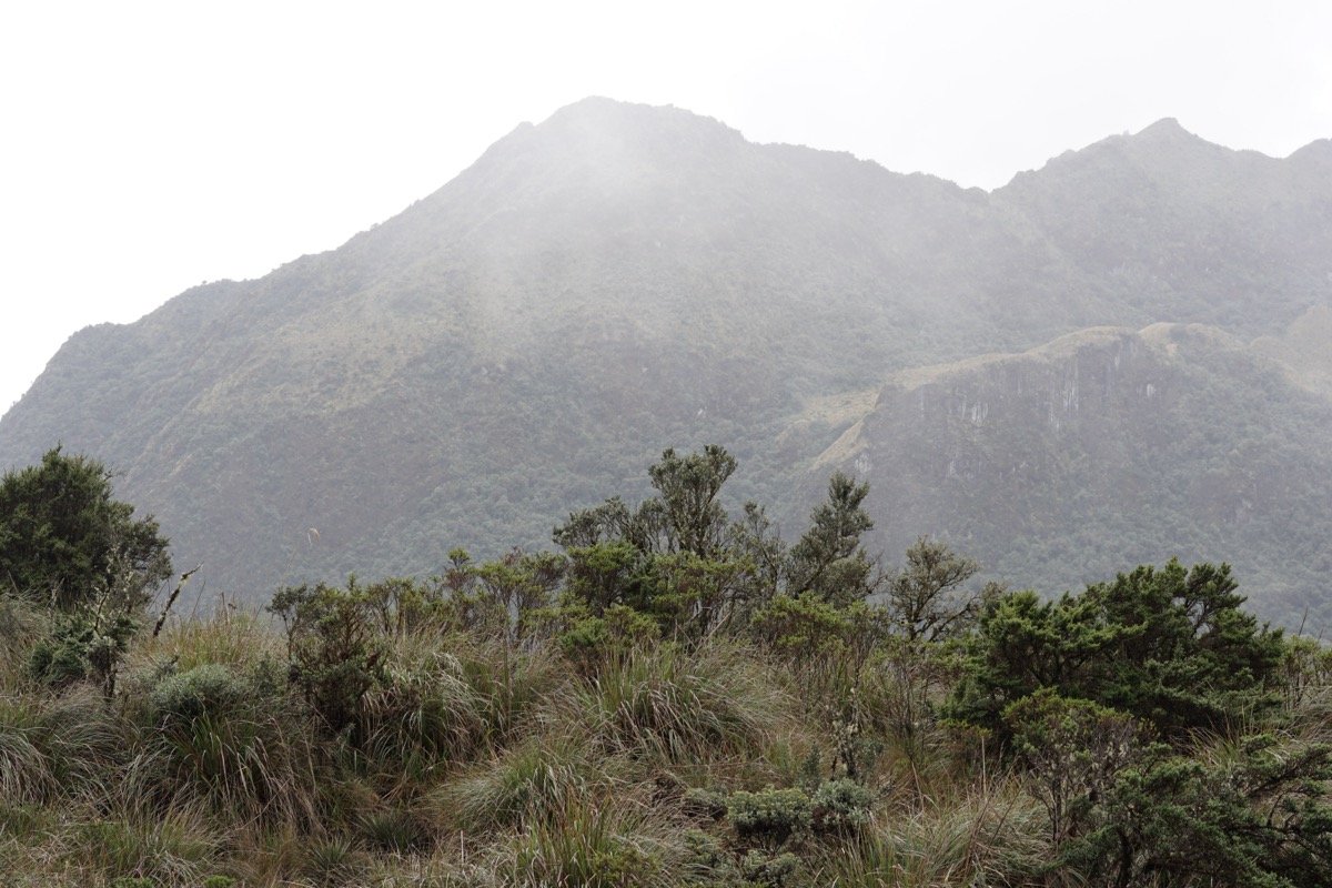 Paramo, Ecuador