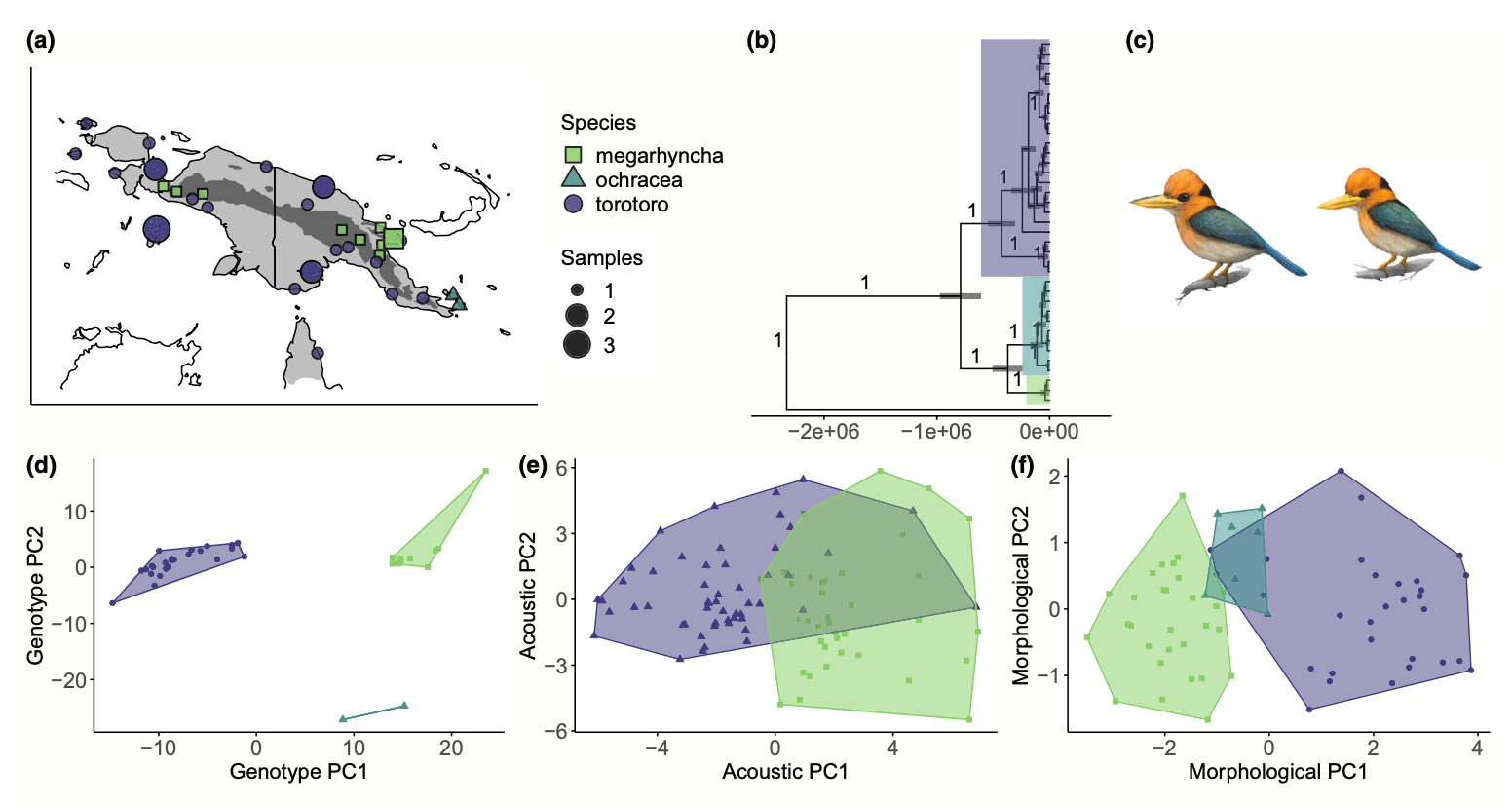 Major research areas in the Linck Lab